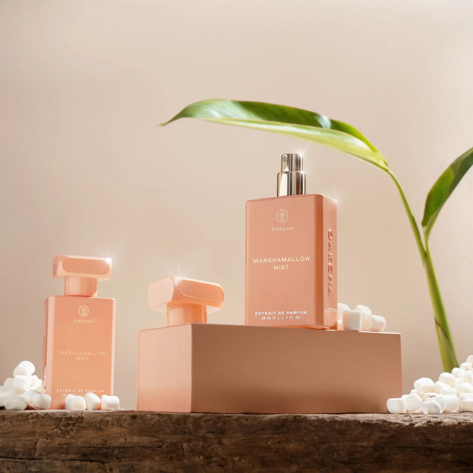 Oakcha Extrait De Parfum 50ml  - The Collection Perfume Fragrance avis et prix