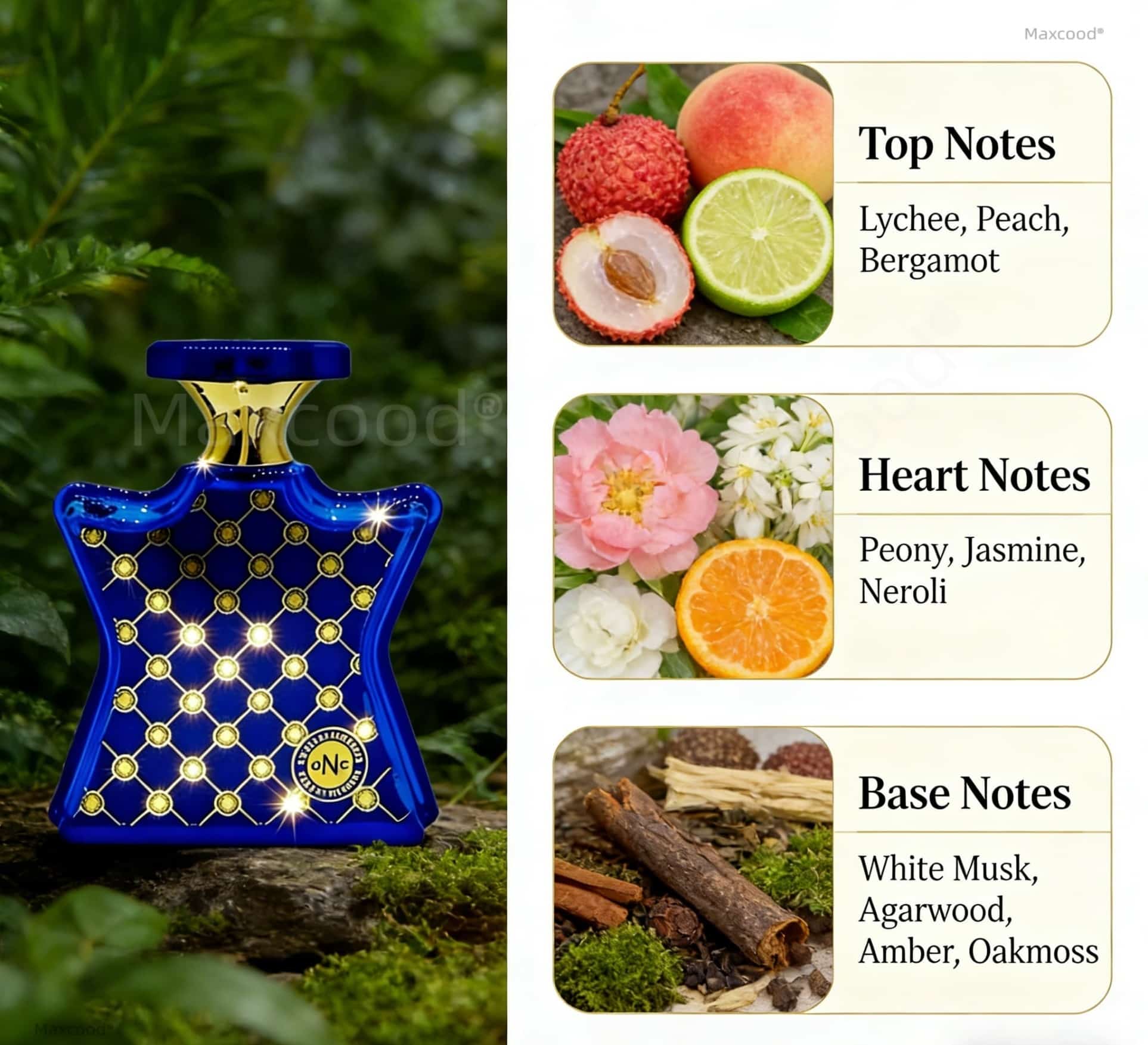 Citrus and floral Perfume Long - Unique Perfume Fragrance avis et prix