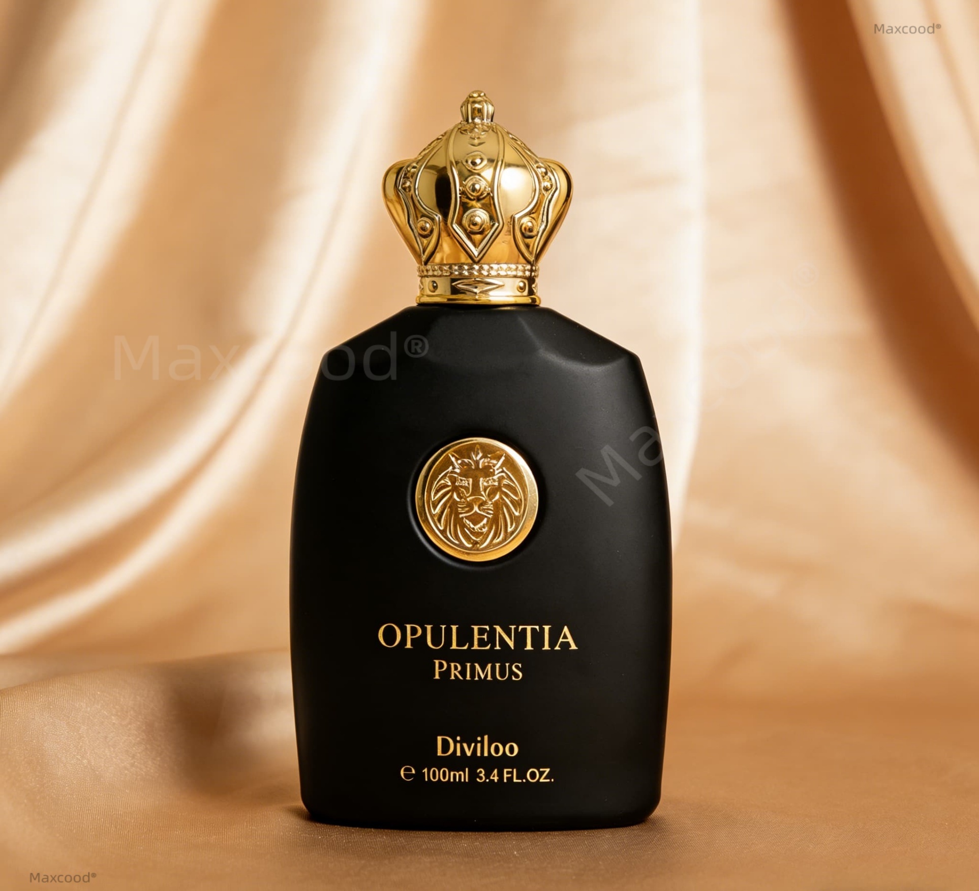 Woody Musk Note Men Perfume Lo - Unique Perfume Fragrance avis et prix