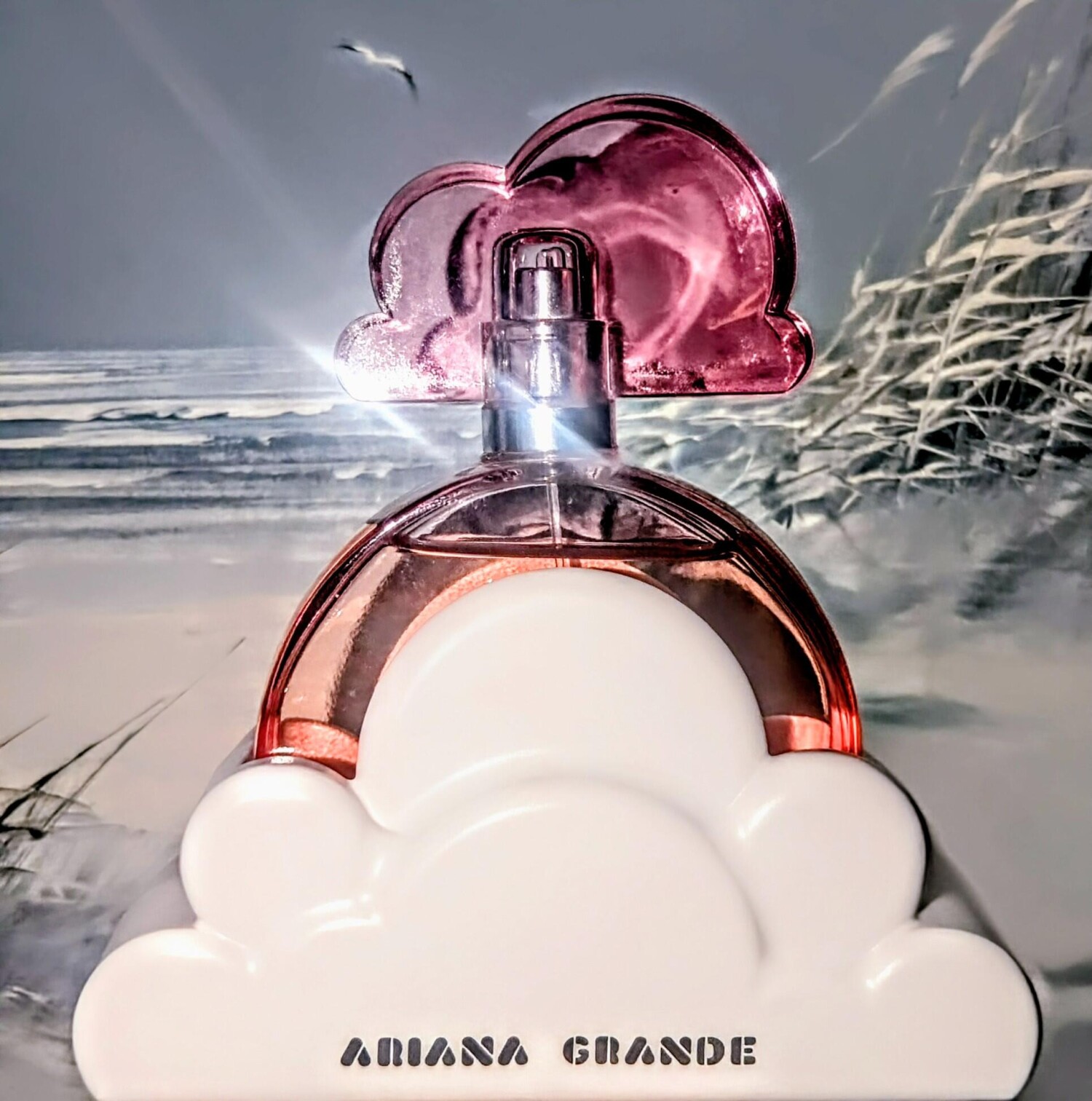 Ariana Grande Perfume for Wome - Musk White Oil avis et prix
