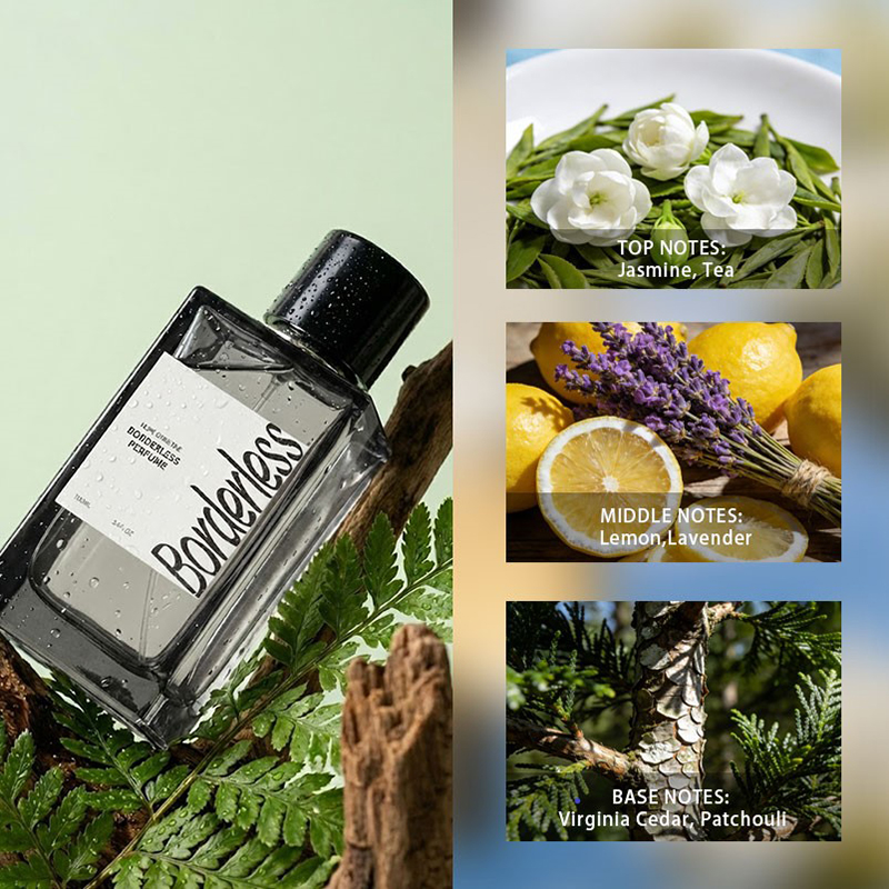 Luxury Borderless Men Perfume  - Perfume Fragrance Man avis et prix